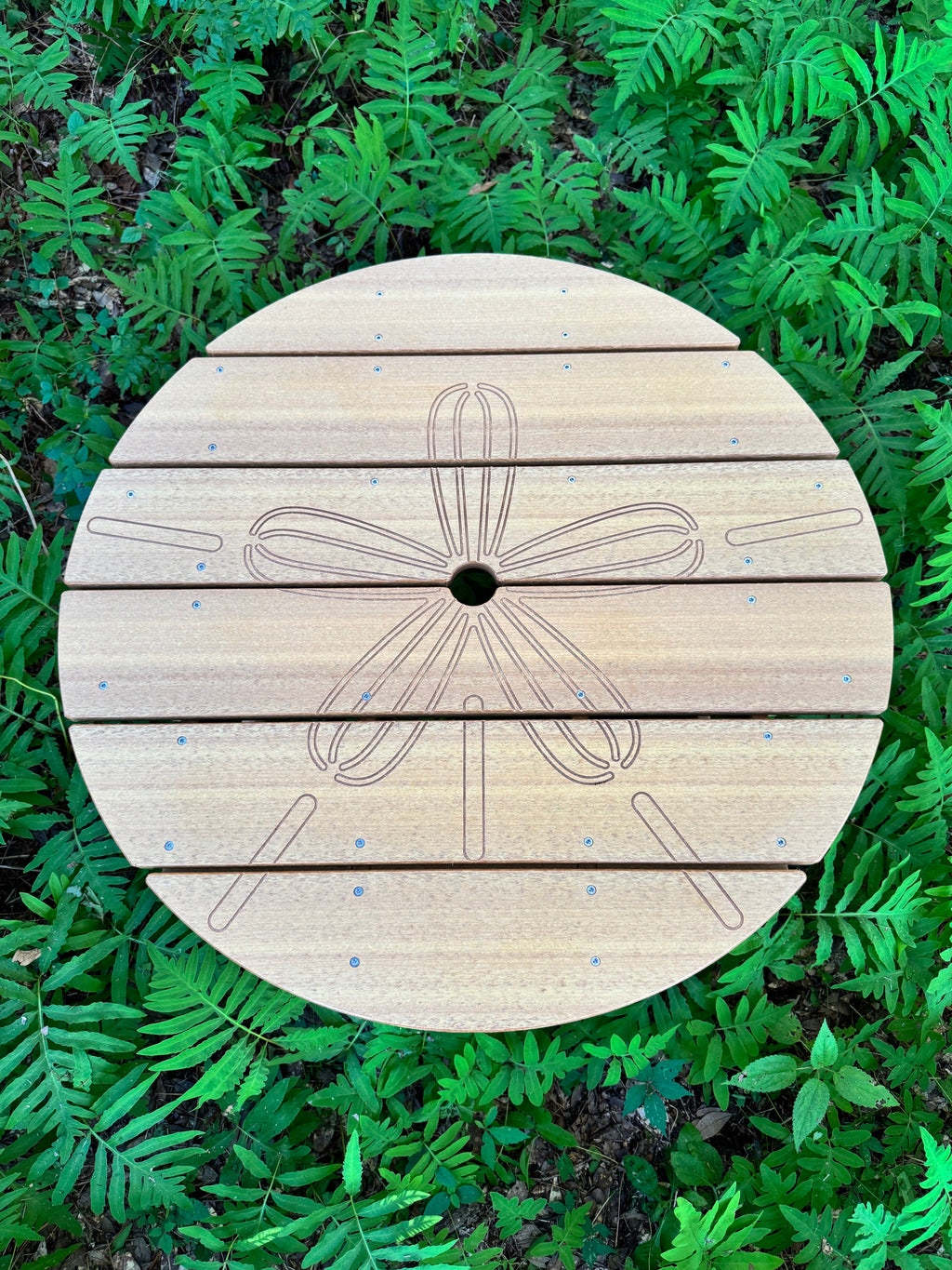 Sand Dollar Table