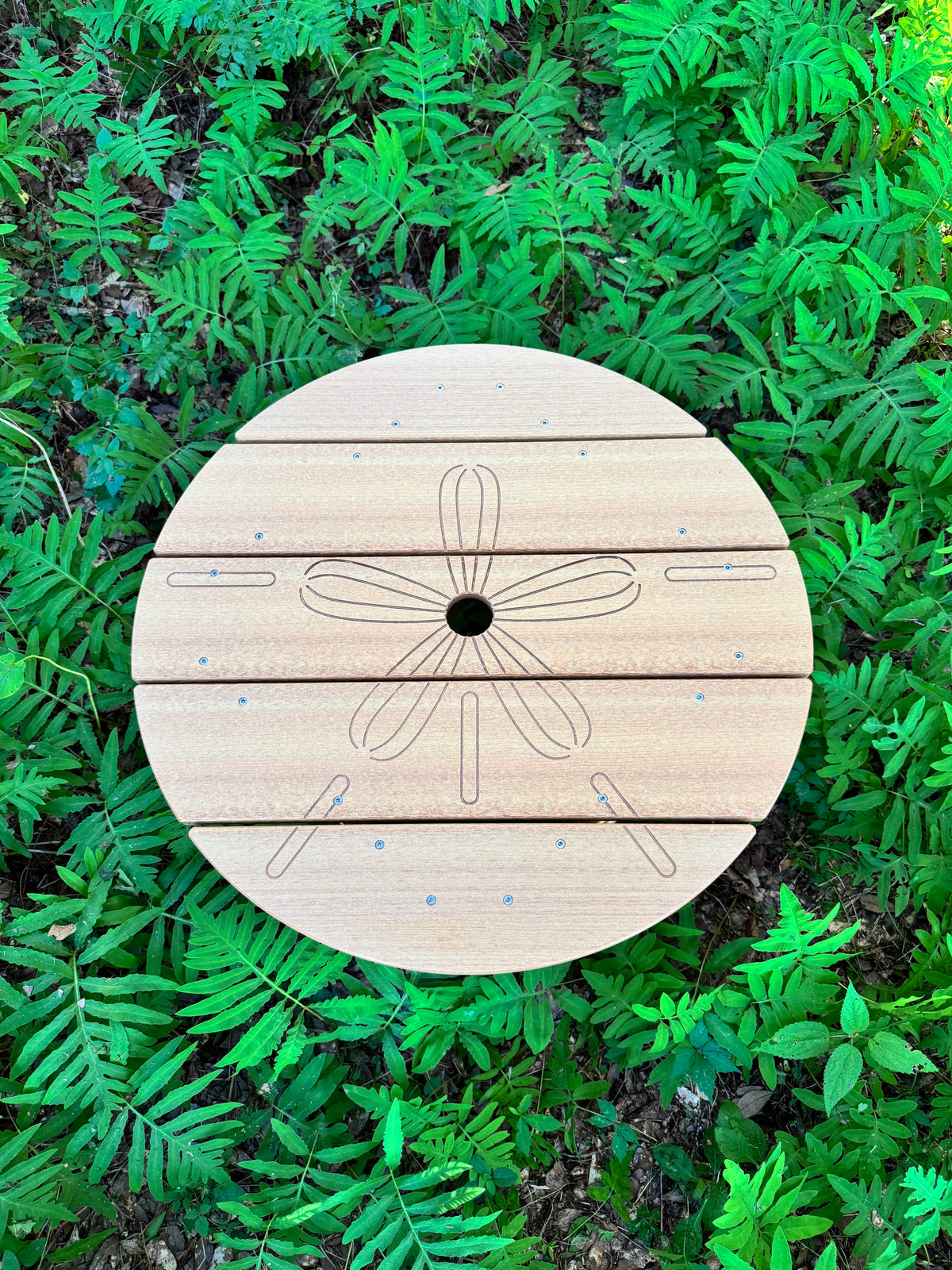 Sand Dollar Table